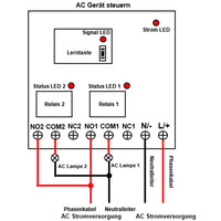 2 Kanal Funkschalter 230V mit Fernbedienung und Potentialfreies Relais Ausgang (Modell 0020333)